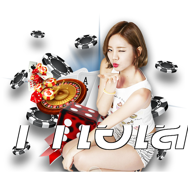 11ไฮโล